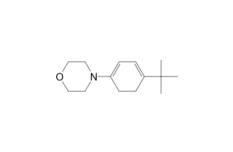 Morpholine, 4-[4-(1,1-dimethylethyl)-1,3-cyclohexadien-1-yl]-