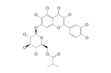 QUERCETAGETIN-7-0-(6''-O-ISOBUTYRYL)-BETA-D-GLUCOPYRANOSIDE