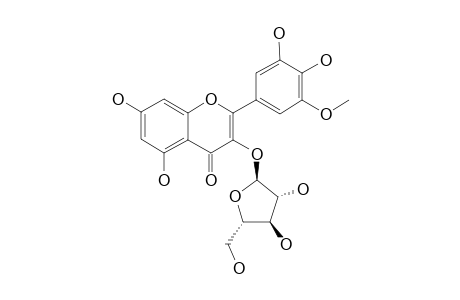 LARYCITRIN-3-O-ALPHA-L-ARABINOFURANOSIDE;5,7,3',4'-TETRAHYDROXY-5'-METHOXY-3-O-ALPHA-L-ARABINOFURANOSIDE