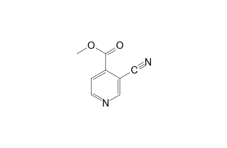 3-cyanoisonicotinic acid, methyl ester