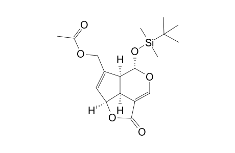 (1S,5S,6S,9S)-8-Acetoxymethyl-1-(t-butyldimethylsilyloxy)-6-hydroxy-2-oxabicyclo[4.3.0]nona-3,7-diene-4-carboxylic acid lactone