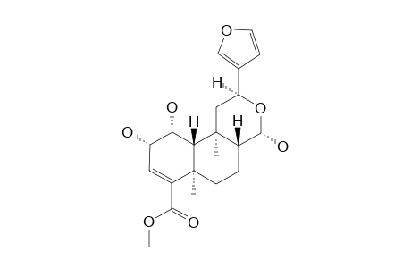 SALVIDIVIN_I