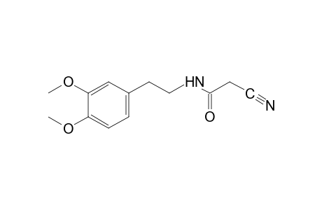 2-cyano-N-(3,4-dimethoxyphenethyl)acetamide