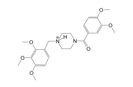 1-(3,4-dimethoxybenzoyl)-4-(2,3,4-trimethoxybenzyl)piperazin-4-ium