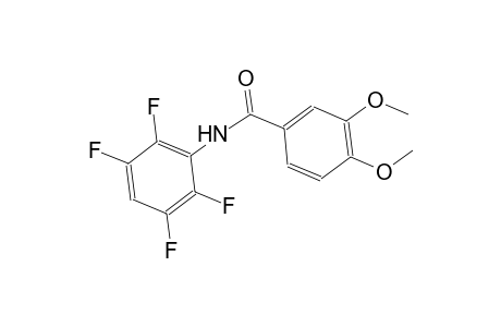 3,4-dimethoxy-N-(2,3,5,6-tetrafluorophenyl)benzamide