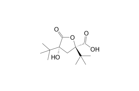 (2R,4R)-2,4-ditert-butyl-4-hydroxy-5-keto-tetrahydrofuran-2-carboxylic acid