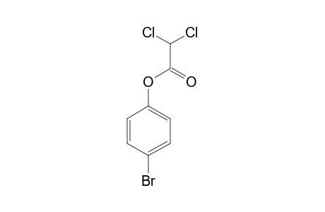 4-BROMO-PHENYL-DICHLOROACETATE