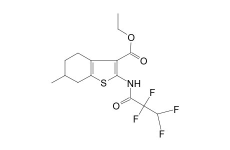 Benzo[b]thiophene-3-carboxylic acid, 6-methyl-2-(2,2,3,3-tetrafluoropropionylamino)-4,5,6,7-tetrahydro-, ethyl ester