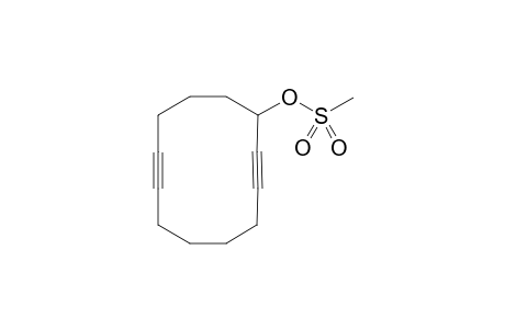 cyclododeca-2,8-diyne-1-yl Methanesulfonate