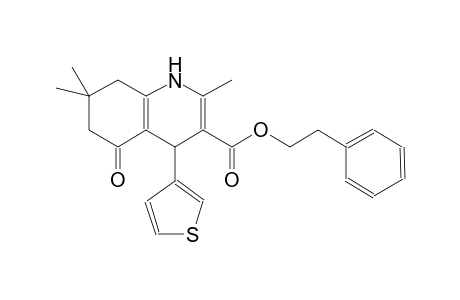 5-keto-2,7,7-trimethyl-4-(3-thienyl)-1,4,6,8-tetrahydroquinoline-3-carboxylic acid phenethyl ester