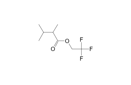 2-Methylisopentanoic acid, 2,2,2-trifluoroethyl ester