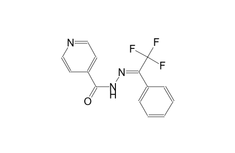 N'-[(E)-2,2,2-trifluoro-1-phenylethylidene]isonicotinohydrazide