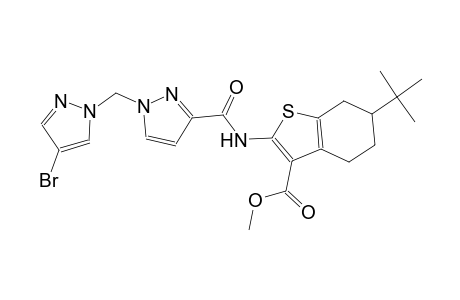 methyl 2-[({1-[(4-bromo-1H-pyrazol-1-yl)methyl]-1H-pyrazol-3-yl}carbonyl)amino]-6-tert-butyl-4,5,6,7-tetrahydro-1-benzothiophene-3-carboxylate