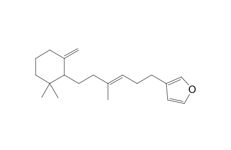 (E)-Dehydroambliol-A