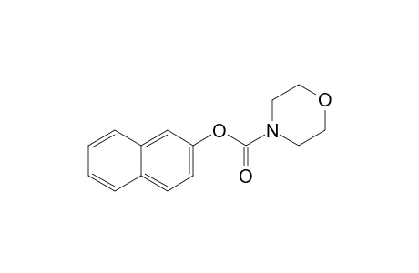 2-Naphthyl morpholine-4-carboxylate