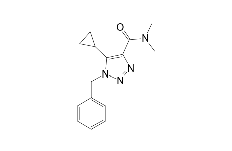 N,N-DIMETHYL-1-BENZYL-5-CYCLOPROPYL-1,2,3-TRIAZOLE-4-CARBOXAMIDE