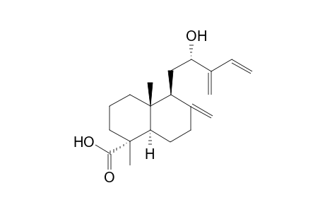 (1R,4aR,5S,8aR)-5-[(2S)-Decahydro-2-hydroxy-3-methylidenepent-4-en-1-yl]-1,4a-dimethyl-6-methylidenenaphthalene-1-carboxylic Acid