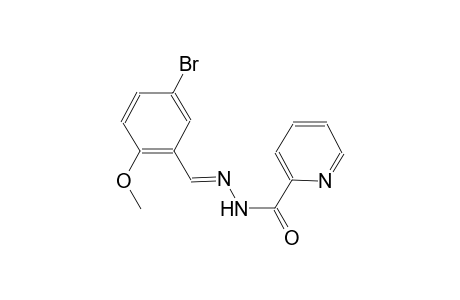 N'-[(E)-(5-bromo-2-methoxyphenyl)methylidene]-2-pyridinecarbohydrazide
