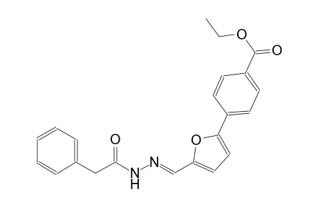 ethyl 4-(5-{(E)-[(phenylacetyl)hydrazono]methyl}-2-furyl)benzoate