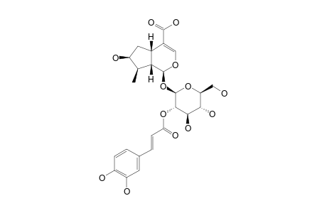 2'-O-CAFFEOYL-LOGANIC-ACID