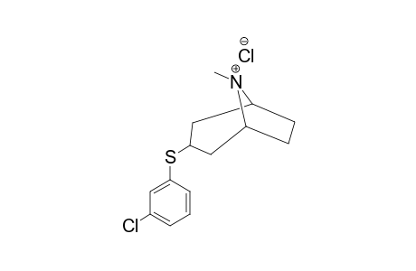 HYDROCHLORIDE-OF-3-(3-CHLOROPHENYLSULFANYL)-8-METHYL-8-AZABICYCLO-[3.2.1]-OCTANE