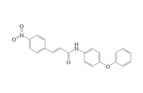 (E)-3-(4-nitrophenyl)-N-(4-phenoxyphenyl)-2-propenamide