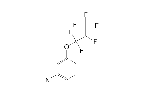 3-(2H-PERFLUOROPROPOXY)-ANILINE