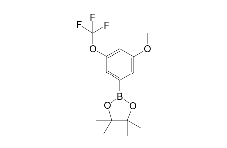2-(3-Methoxy-5-(trifluoromethoxy)phenyl)-4,4,5,5-tetramethyl-1,3,2-dioxaborolane
