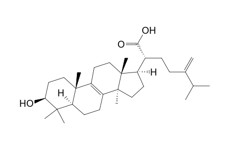 Eburicoic acid