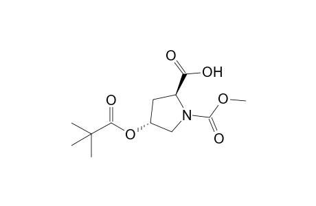 (2S,4R)-1-carbomethoxy-4-pivaloyloxy-proline