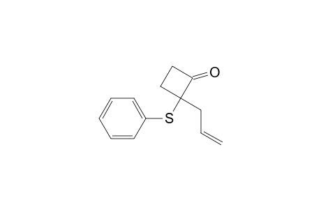 2-Allyl-2-(phenylthio)cyclobutanone