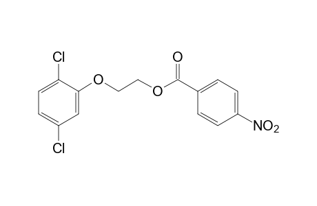 2-(2,5-dichlorophenoxy)ethanol, p-nitrobenzoate