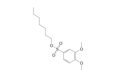 3,4-DIMETHOXYBENZENESULFONIC ACID, HEPTYL ESTER