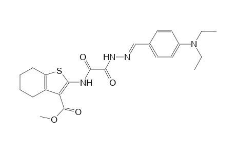 methyl 2-{[{(2E)-2-[4-(diethylamino)benzylidene]hydrazino}(oxo)acetyl]amino}-4,5,6,7-tetrahydro-1-benzothiophene-3-carboxylate