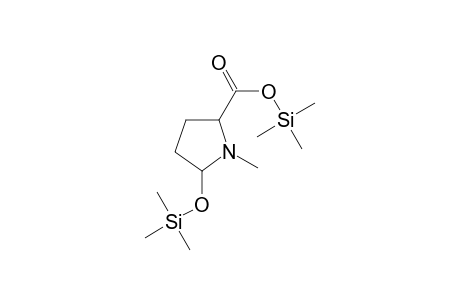 N-Methyl-5-hydroxyproline 2TMS