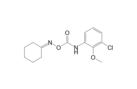 cyclohexanone, O-[(3-chloro-2-methoxyphenyl)carbamoyl]oxime
