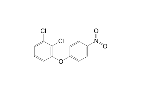 1,2-Dichloro-3-(4-nitrophenoxy)benzene