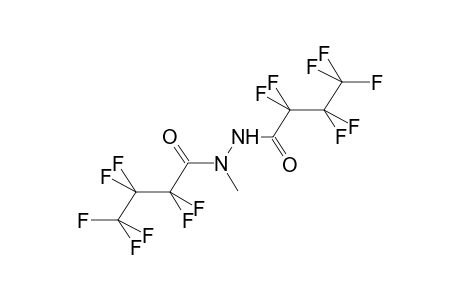 (E,Z)-N,N'-BIS(PERFLUOROBUTANOYL)-N-METHYLHYDRAZINE