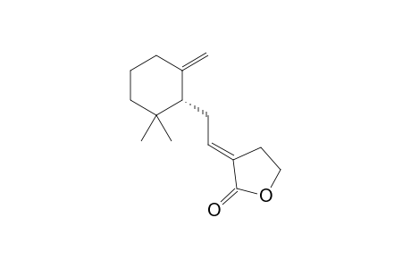 (3E)-3-[2-[(1R)-2,2-dimethyl-6-methylene-cyclohexyl]ethylidene]tetrahydrofuran-2-one