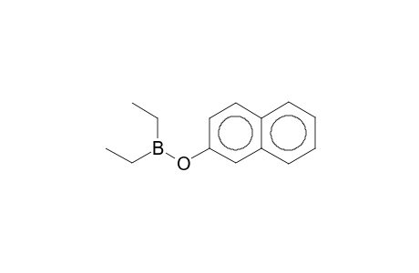 Borinic acid, diethyl-, 2-naphthalenyl ester