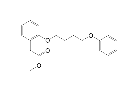 Benzeneacetic acid, 2-(4-phenoxybutoxy)-, methyl ester
