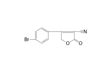 4-(p-BROMOPHENYL)-2,5-DIHYDRO-2-OXO-3-FURONITRILE