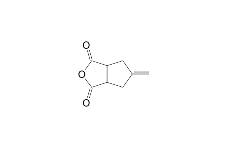 5-Methylenetetrahydro-1H-cyclopenta[c]furan-1,3(3ah)-dione