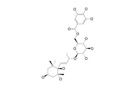 ACTINIDIOIONOSIDE-6'-O-GALLATE;(3S,5R,6R,9R)-3,6,7,9-TETRAHYDROXY-MEGASTIGMAN-7-ENE-9-O-BETA-D-(6'-O-GALLOYL)-GLUCOPYRANOSIDE