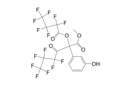 mHMA-Me-di-HFB