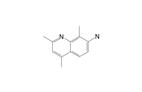 7-AMINO-2,4,8-TRIMETHYLQUINOLINE