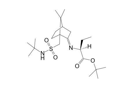N-tert-Butyl-10-[2-(1-(tert-butyloxycarbonyl)propyl)imino-7,7-dimethylcyclo[2.2.1]heptyl)methyl]sulfonamide isomer