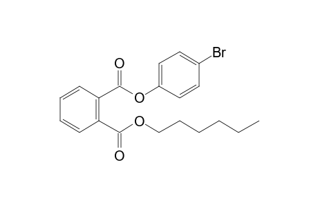 Phthalic acid, 4-bromophenyl hexyl ester