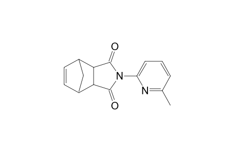 N-(6-methyl-2-pyridyl)-5-norbornene-2,3-dicarboxilide