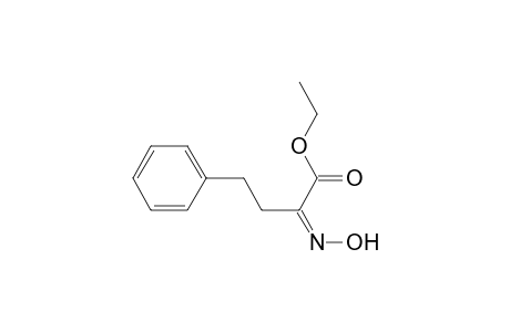 (2Z)-2-hydroximino-4-phenyl-butyric acid ethyl ester
